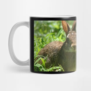 Cute Wild Bunny Enjoying the Sunlight Mug